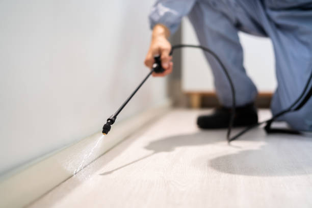 Licensed Pest Control service in Homestead Meadows North, TX - Show Me Pest Control