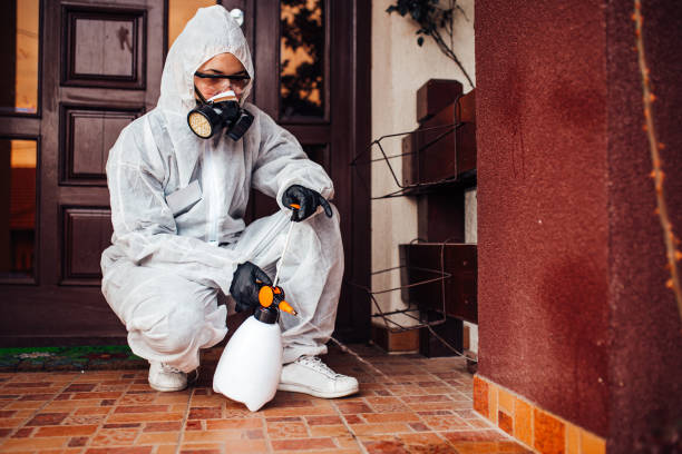 Reliable Mosquito Control contractor in Homestead Meadows North, TX by Show Me Pest Control